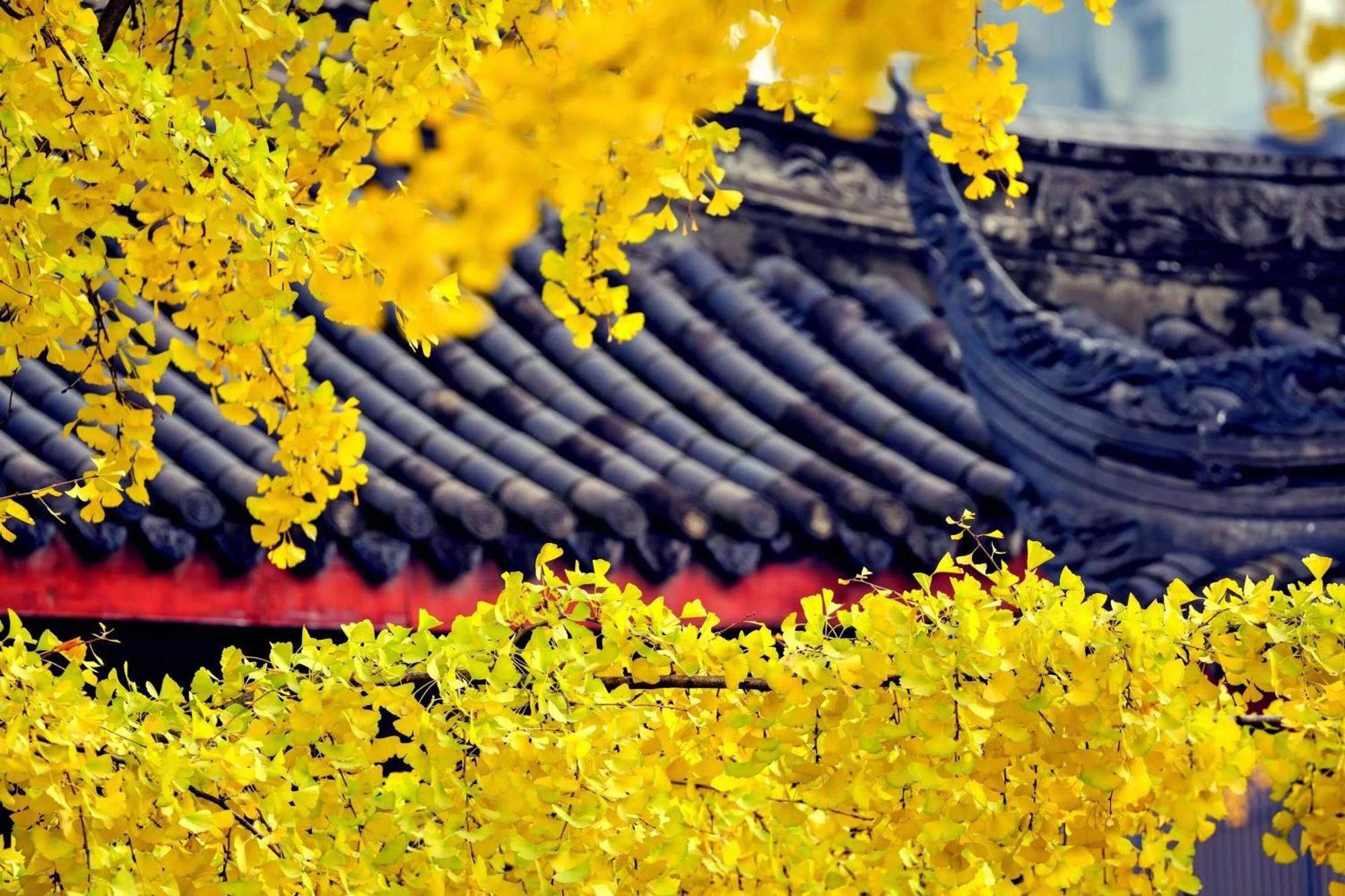 Hotel Wenjun Courtyard Hotel---3mins Walk From Subway Station ,near Tianfu Square, Speaking ,tour Servcie Chengdu